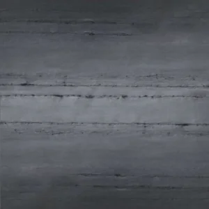 BLACK LINE — Sienos