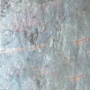 BURNING FOREST — Sienos