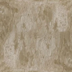 CALDERA GOLD — Sienos