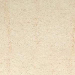 CLEAR WHITE STRIPE — Sienos