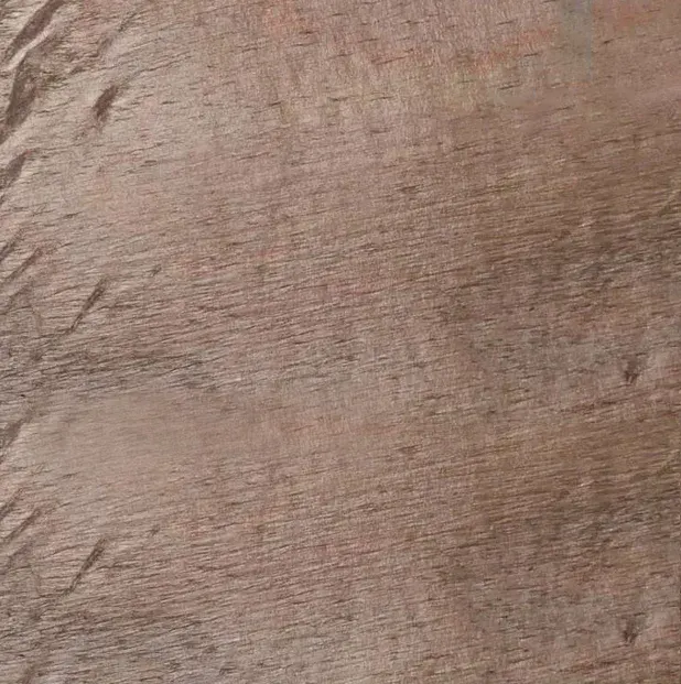 COBRE NEW — Sienos