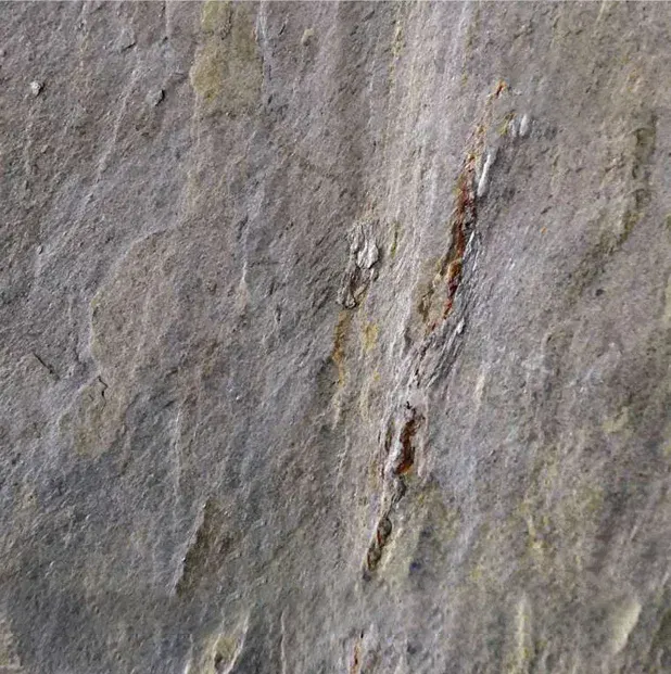 DESERT ROCK — Sienos