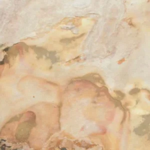 FALLING LEAVES — Sienos