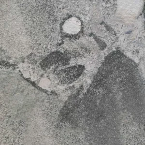 PEBBLE BEACH — Sienos