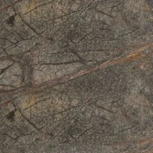 RAINFOREST BROWN — Sienos