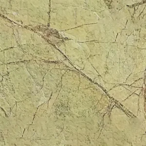 RAINFOREST GREEN BRIGHT — Sienos