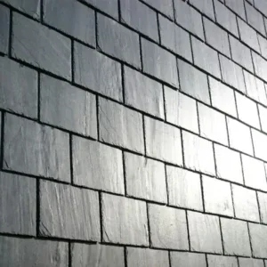 DEL CARMEN — Stogai