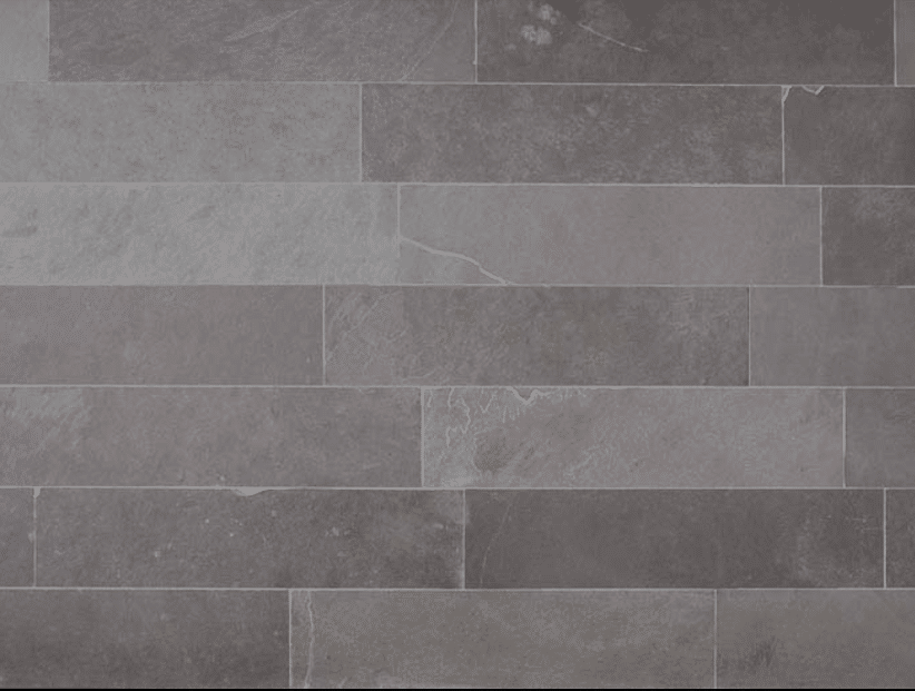 Brazilian grey juosteles