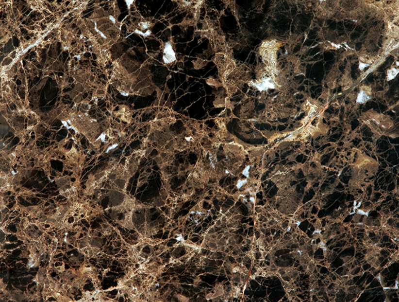 Dark emperador