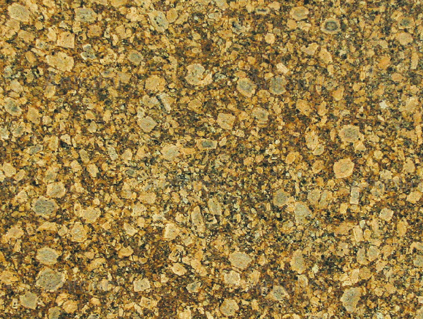 Giallo fiorito